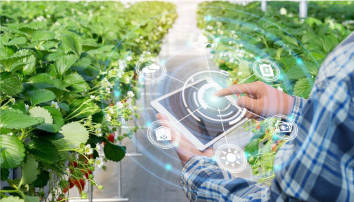 LoRaWAN-based greenhouse automation system